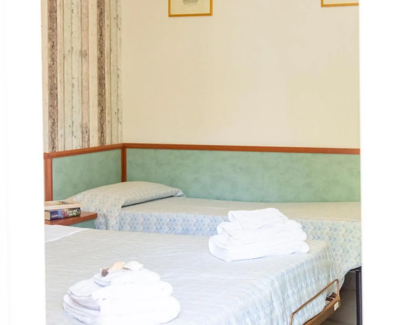 Hotel Brasilia 切塞纳蒂科